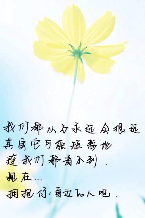 暖心短句小清新8字英语