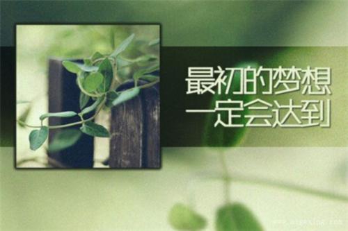 15个单词以内的经典短句