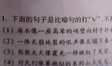 比喻句描写蝴蝶