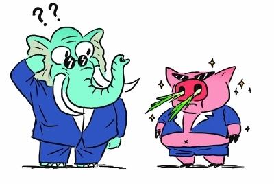 将葱放在猪的鼻子里