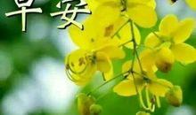 朋友早安祝福语