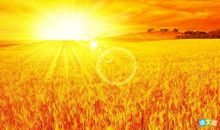 太阳比喻句大全