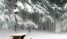 朋友圈下雪说说