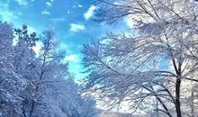 下雪的句子朋友圈