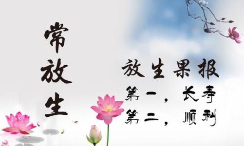 600佛教经典语录