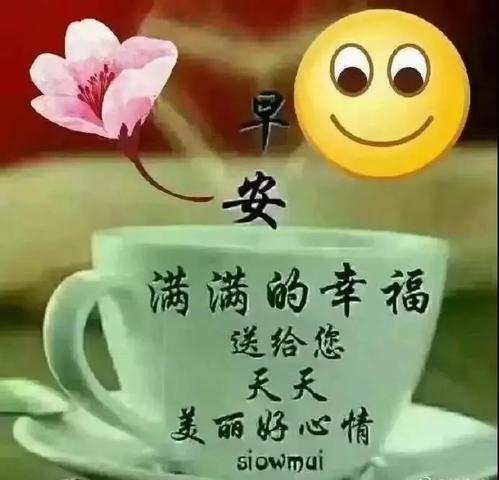 周三的祝福很短暂