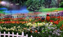 描写鲜花盛开的诗句