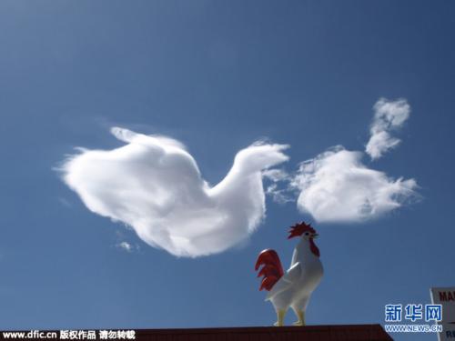 每天思考的谚语