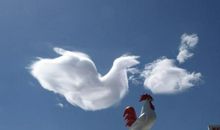 关于每日一思的谚语