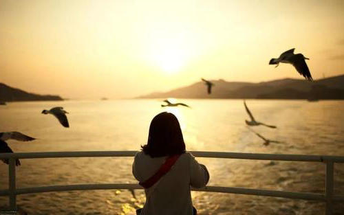 爱情有时需要等待，因为您总是会遇到与您频率相同的人