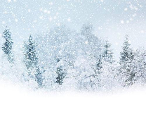 关于雪的审美句子