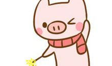 经典猪年祝福短信