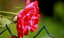 耐人寻味的经典句子