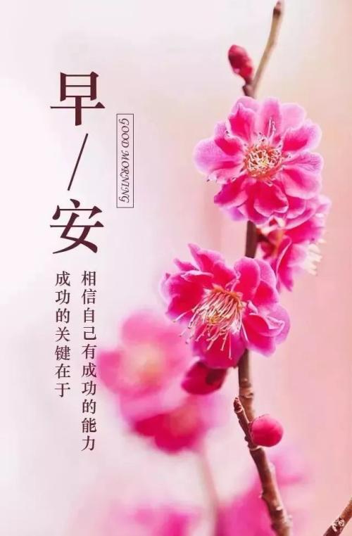 朋友问侯美句子片刻