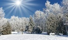 冬季养生小短信