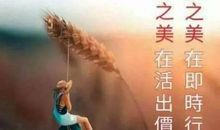 朋友圈问候的说说