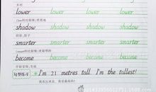 三年级的英语句子