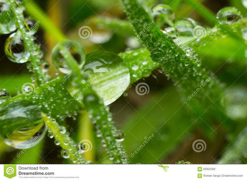 简短的句子描述露珠