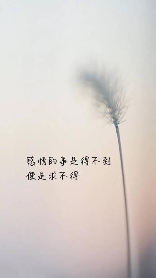 默默关心一个人的悲伤