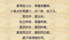 有关农业的一句谚语