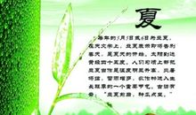 蔬菜谚语有哪些