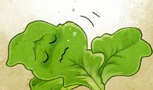 与蔬菜有关的谚语