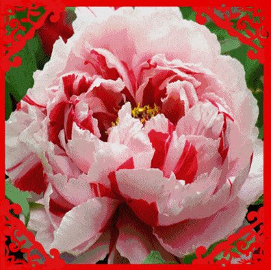 祝大家生日快乐