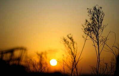 那些美丽的句子：你在我的梦中，甜蜜甜蜜2