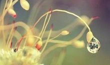 人生感悟的句子伤感人生：每一种创伤，都是一种成熟