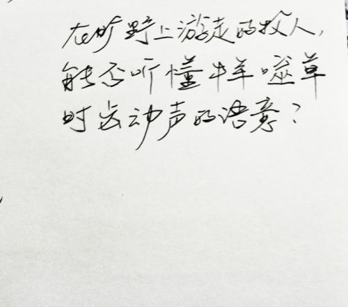 一整套漂亮的句子