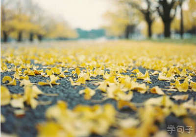 审美句子图片心情：年复一年，我属于你