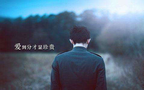 关于爱情的句子是感性的：短暂的爱情不值得怀旧1