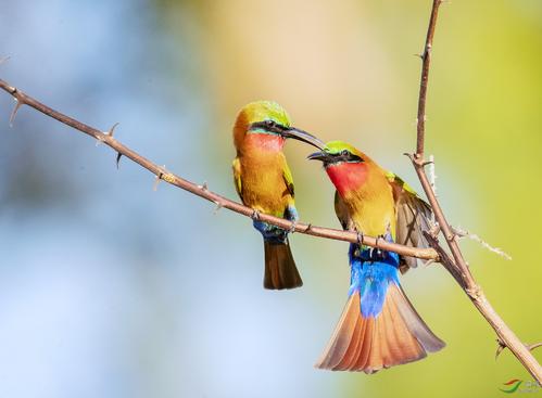 祝老师新年快乐