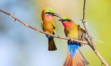 给老师拜年短信