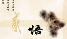 关于精彩的句子