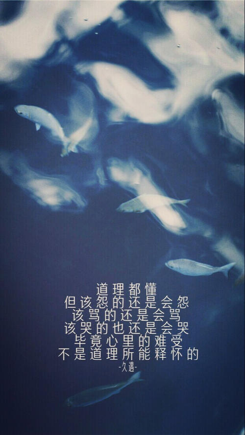 青年电影经典句