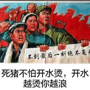 死猪不怕开水