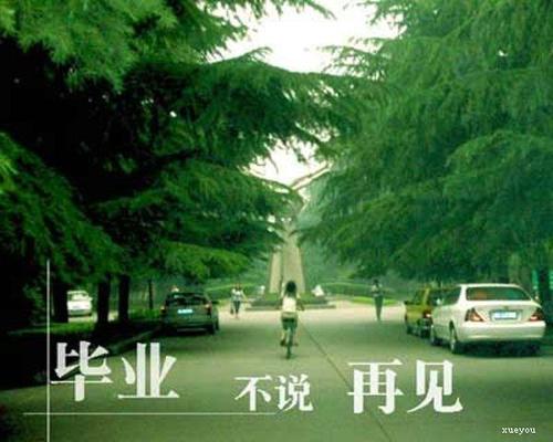 毕业后离别的审美句子