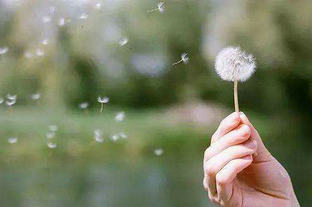 您可以放手，这样就不会遇到麻烦，更简单，您可以轻松生活