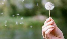 放得下，才能没有烦恼，简单点，才能活的轻松