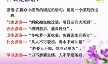 小学谚语大全二年级