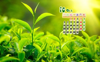 小树拟人化句子