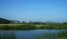 郊外游玩的句子