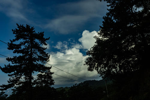 纠结在一个句子