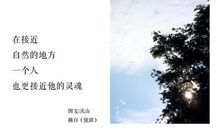 安妮宝贝青春语录