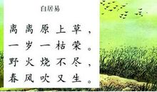 谚语小学二年级下册