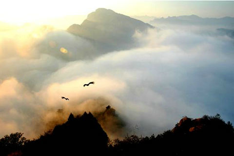 撇开所有分散注意力的想法，我想退后一步