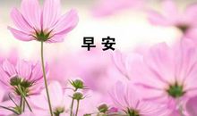 发朋友圈的美好句子