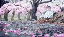 三生三世十里桃花经典语录