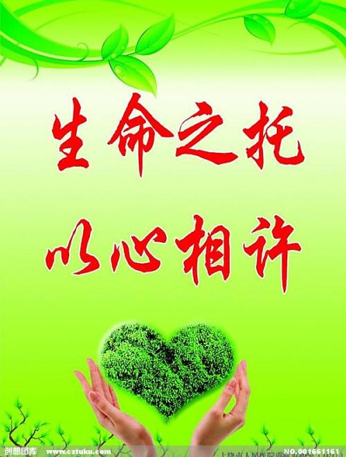 整形医院的口号